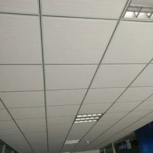 Grid False Ceiling Services